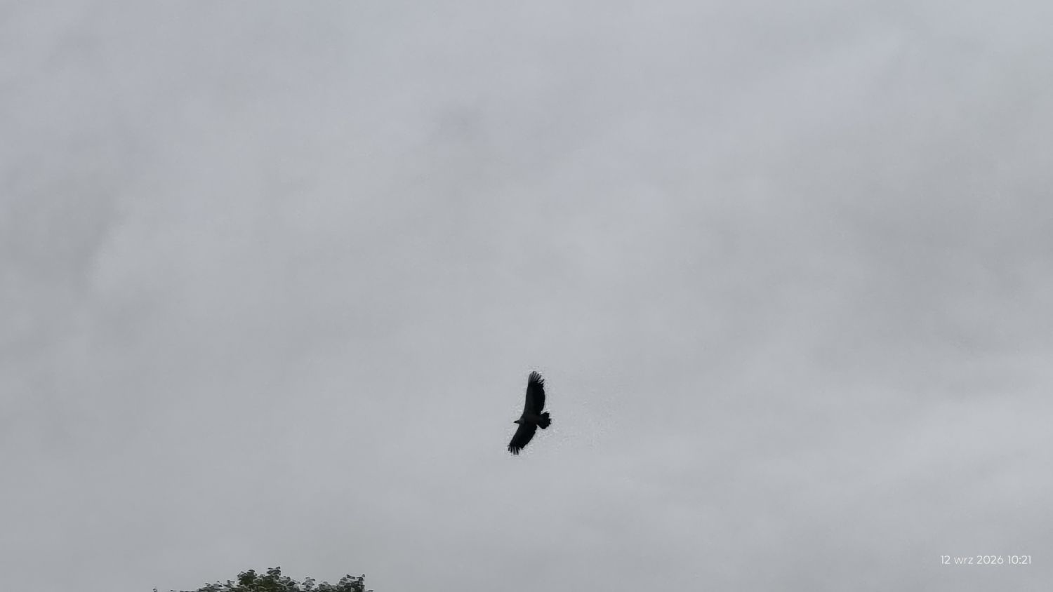 20260912_102127.jpg
